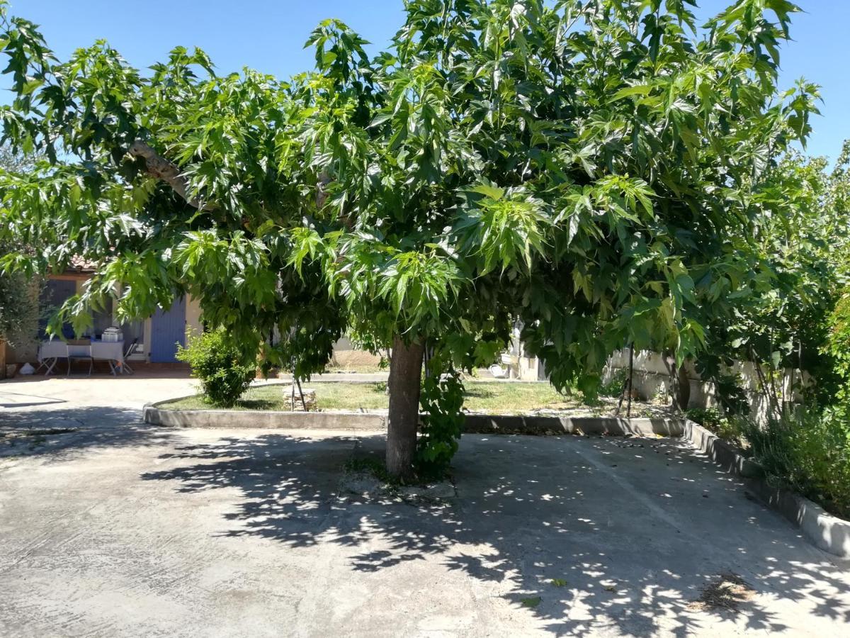 La Maison D'Ogooue Carpentras Zewnętrze zdjęcie
